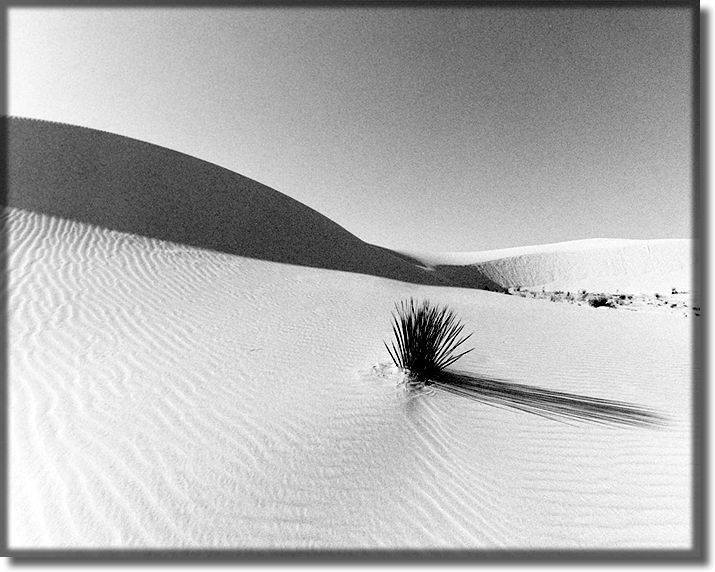 Picture of White Sands New Mexico
