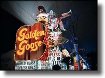 Picture of Golden Goose Casino