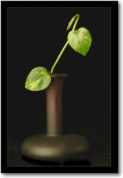 Mikasa Vase, Still life photograph, Sample Product Photography