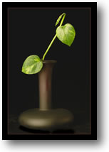 Still life photograph of Mikasa Vase